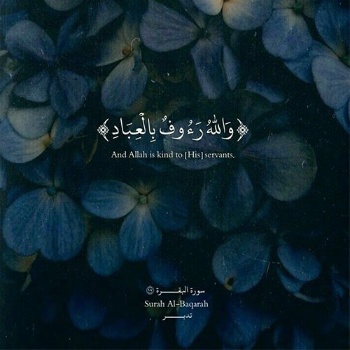  عکس پروفایل خاص و جدید