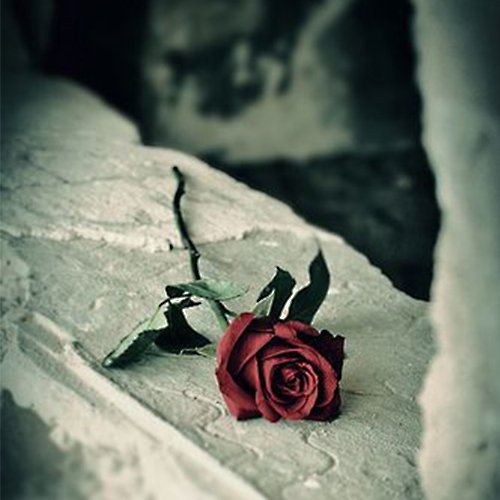  عکس پروفایل خاص و جدید