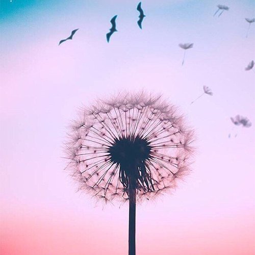  عکس پروفایل خاص و جدید