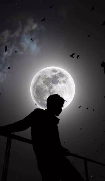  عکس پروفایل پسرونه ترند 2026