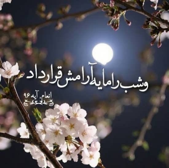  عکس پروفایل آرامش‌بخش