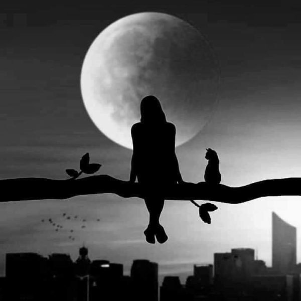  عکس پروفایل خلاقانه