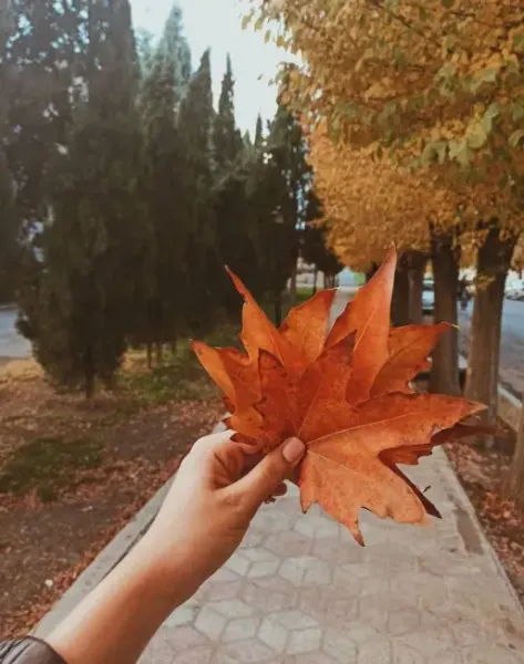  عکس پروفایل هنری ساده