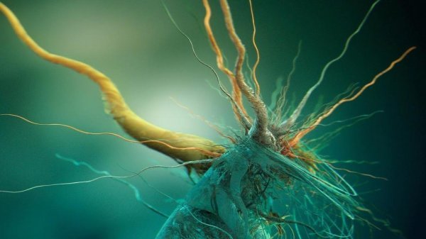  بک گراند ساده و شیک پسرانه برای کامپیوتر