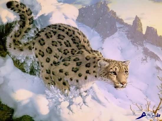  تصاویر سه بعدی جدید و خفن