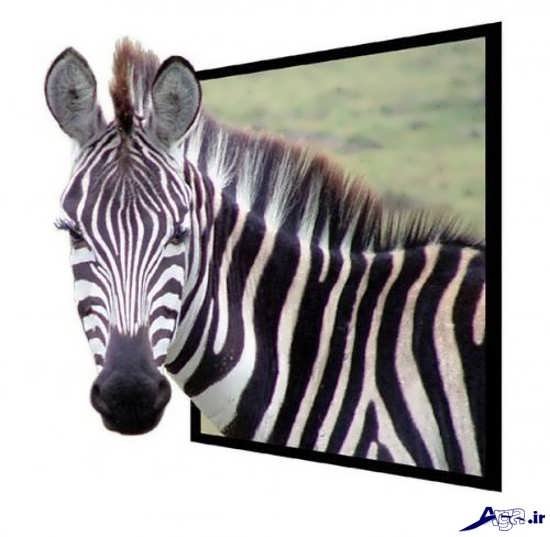  تصاویر سه بعدی جدید و خفن