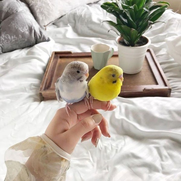  عکس پروفایل باکلاس بدون متن