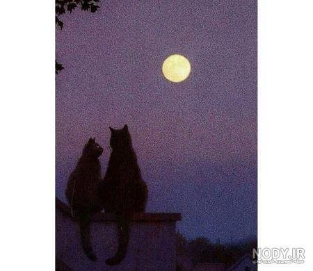  عکس عاشقانه هنری ساده