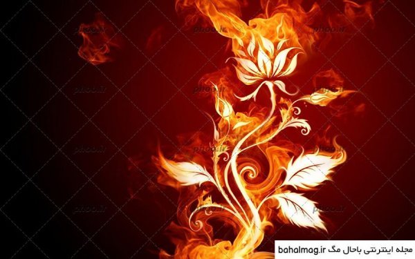 عکس آتش نقاشی