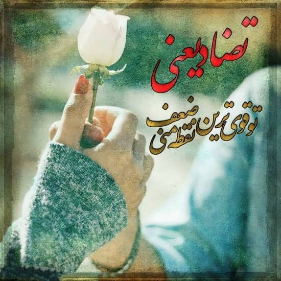  عکس عاشقانه همسرانه