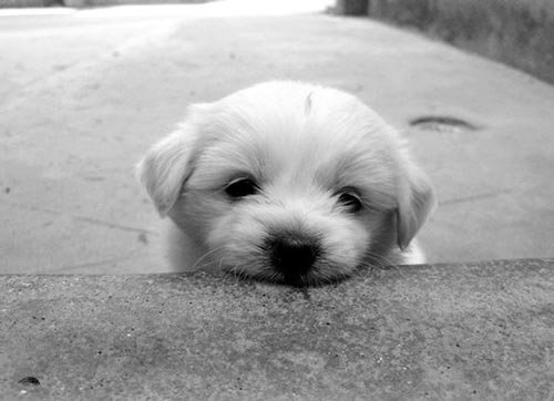  عکس عاشقانه غمگین جدید