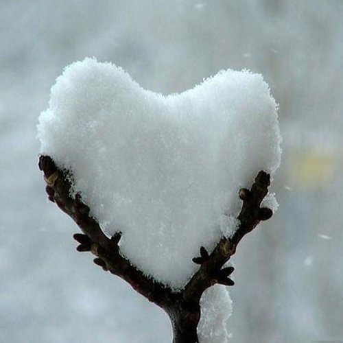  عکس عاشقانه خاص و لاکچری بدون نوشته