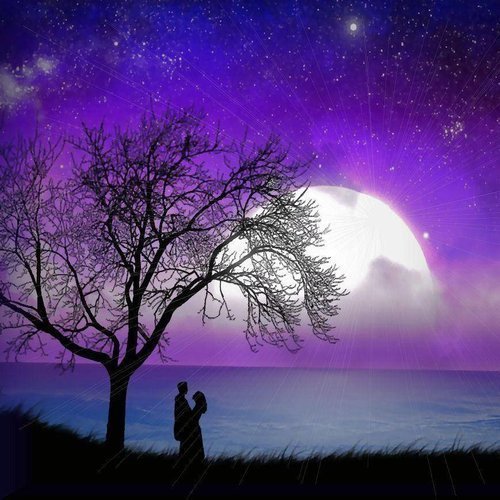  عکس عاشقانه خاص و لاکچری بدون نوشته