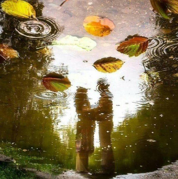  عکس عاشقانه هوای بارانی