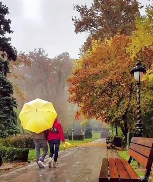  عکس عاشقانه هوای بارانی