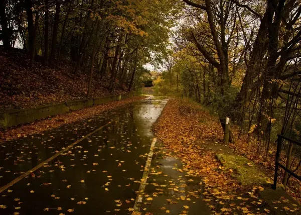  عکس هوای بارانی برای استوری