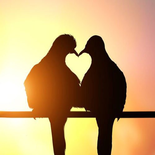  عکس عاشقانه شیک ترند