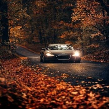  عکس ماشین سواری