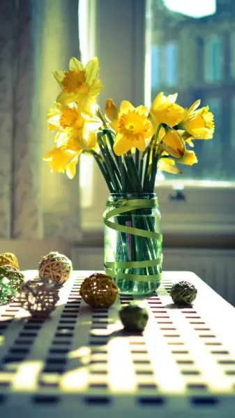  والپیپر خاص و جدید برای گوشی موبایل