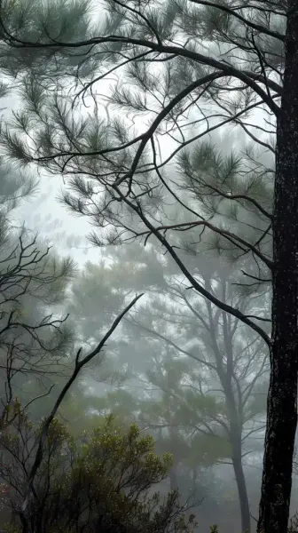  والپیپر ترند 2026