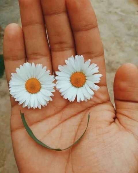  عکس پروفایل 2026