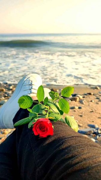  عکس پروفایل 2026