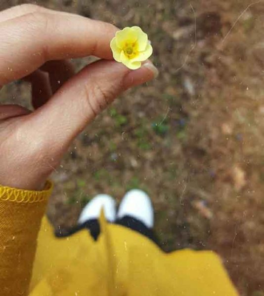  عکس پروفایل 2026