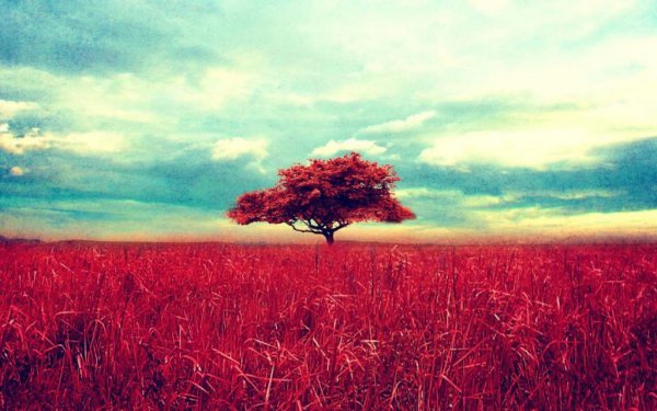  والپیپر خاص و شیک برای دسکتاپ