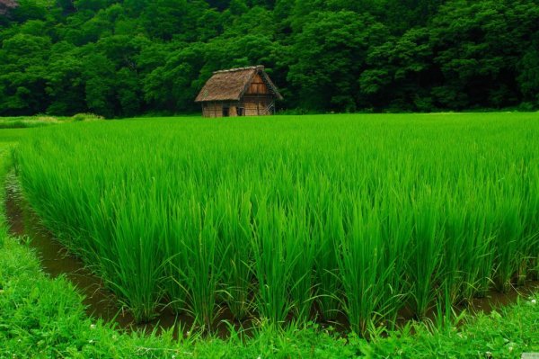  والپیپر های جدید با کیفیت بالا برای لپ‌تاپ