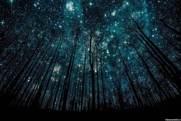  بک گراند کامپیوتر 4k