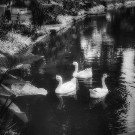  عکس با وایب سیاه