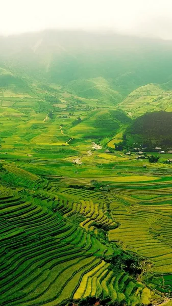  دانلود والپیپر طبیعت برای گوشی موبایل