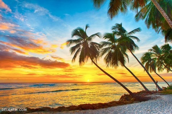  دانلود والپیپر غروب خورشید زیبا