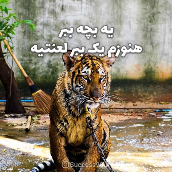  دانلود والپیپر انگیزشی با کیفیت