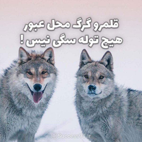  دانلود والپیپر انگیزشی با کیفیت