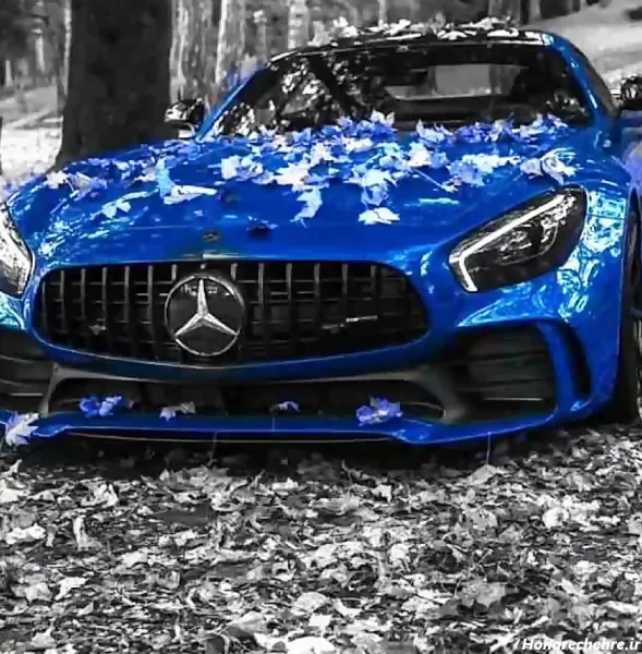  عکس ماشین های فوق لاکچری و شیک