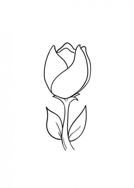  عکس استوری نقاشی های زیبا