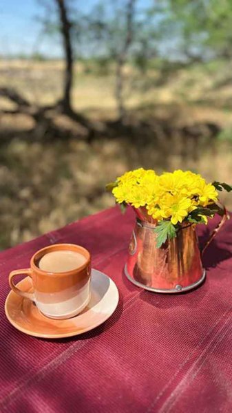 عکس استوری از گل های زیبا و خاص