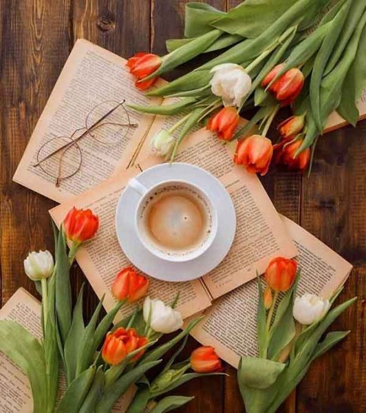  عکس استوری از گل های زیبا و خاص