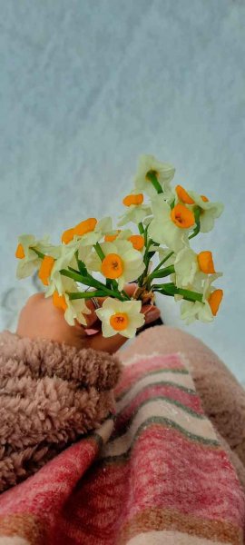  عکس استوری از گل های زیبا و خاص