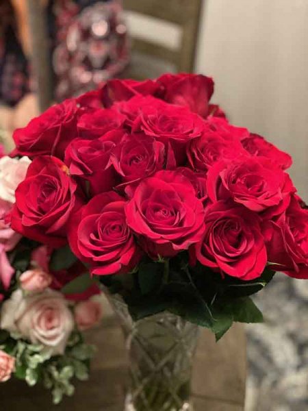  عکس استوری از گل های زیبا و خاص