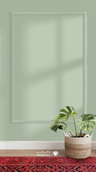  عکس استوری از گل های زیبا و خاص