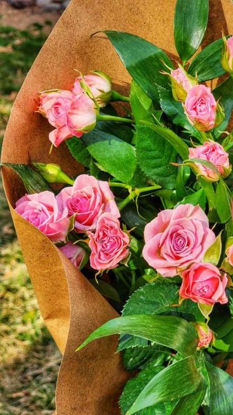  عکس استوری از گل های زیبا و خاص