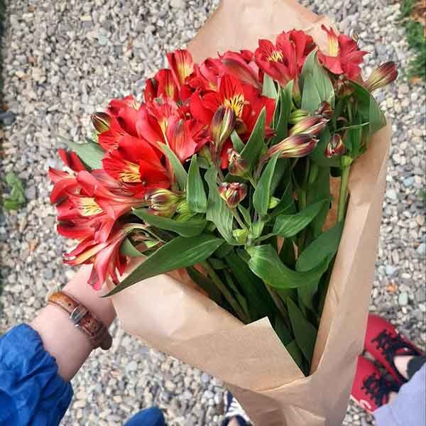  عکس استوری از گل های زیبا و خاص