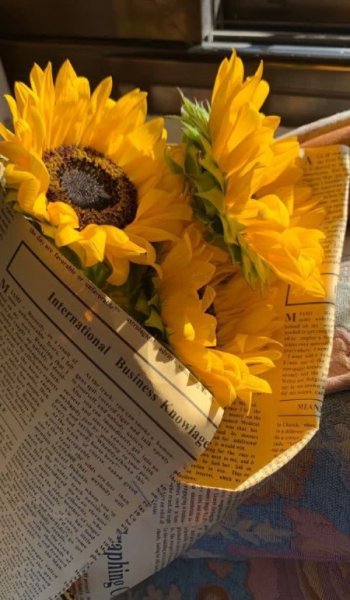 عکس گل فیک برای استوری