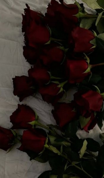  عکس گل فیک برای استوری