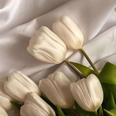  عکس گل فیک برای استوری