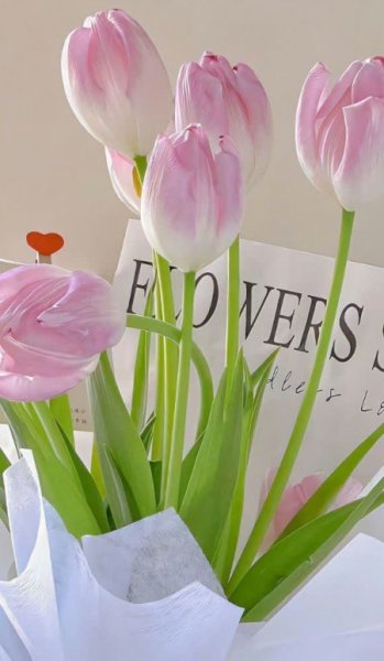  عکس گل فیک برای استوری