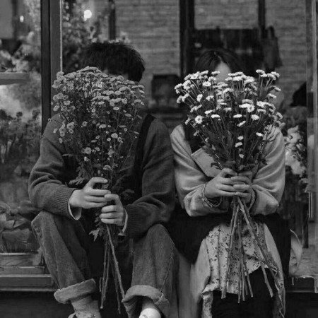  عکس گل فیک برای استوری