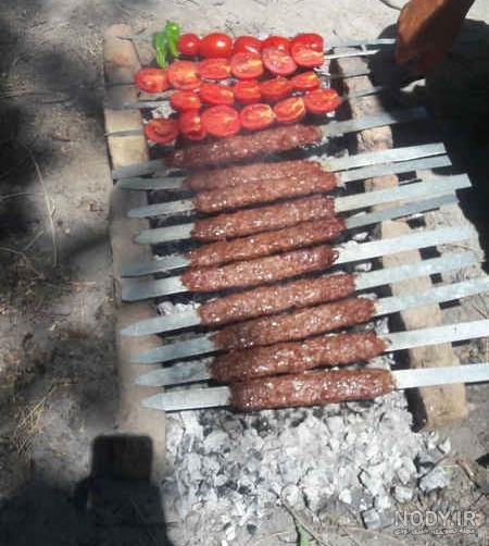  عکس کباب فیک برای استوری